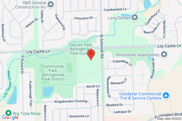 Bolingbrook High School