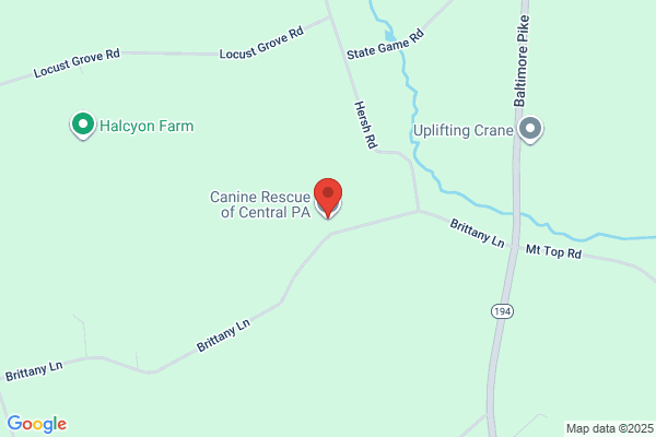 Canine Rescue of Central Pennsylvania