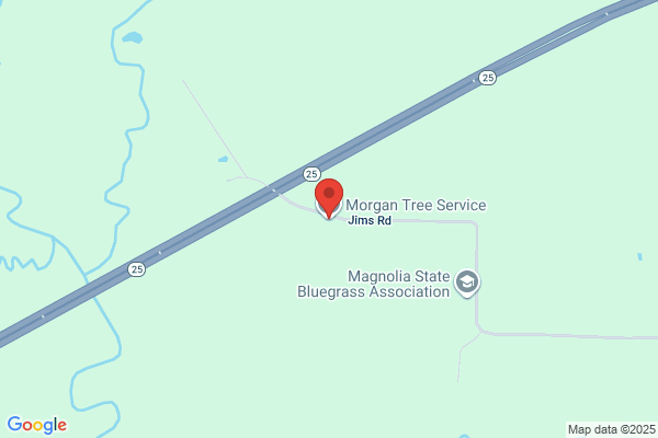 Morgan Tree Service