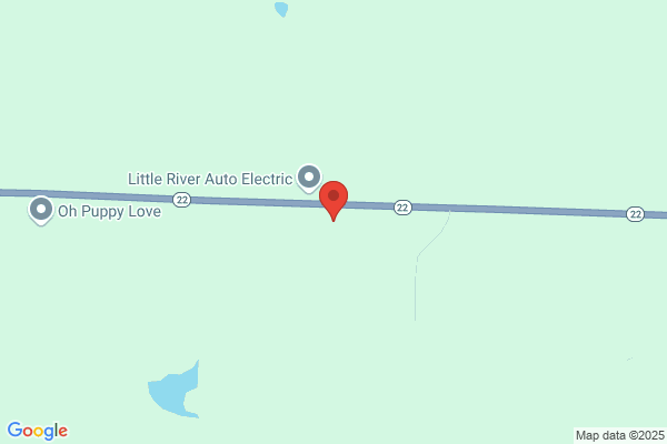 Lester's Auto & Cooper Tires