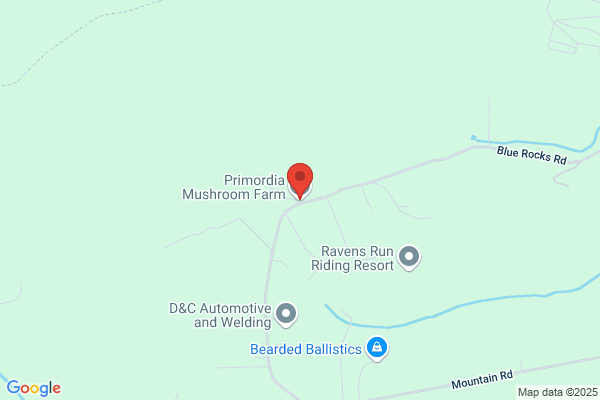 Blue Mountain Mushroom Co Inc