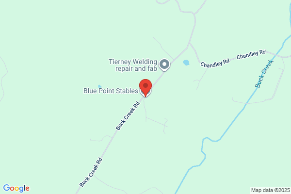 Blue Point Stables