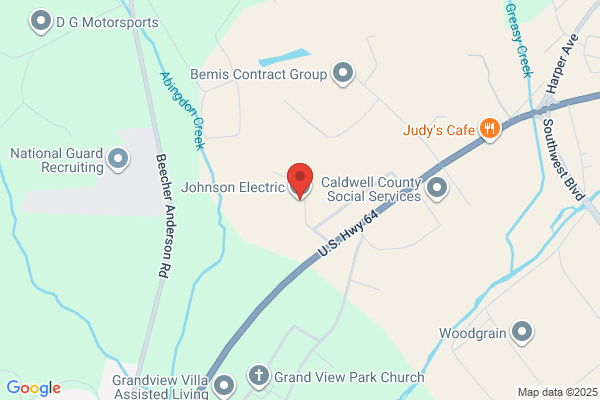 Johnson Electric Co