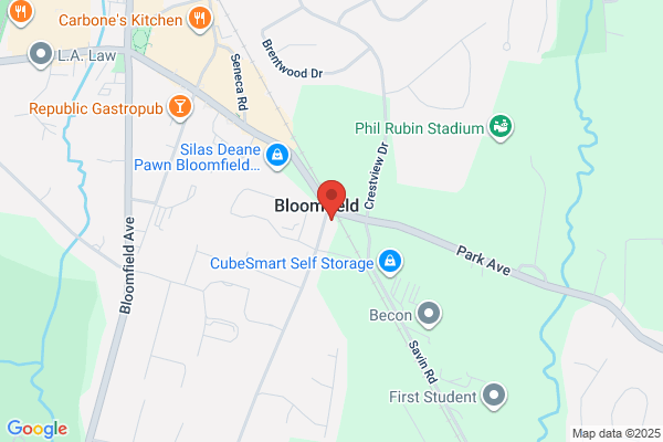 Bloomfield Automotive Inc