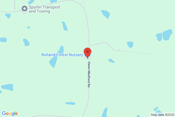 RUTLAND FOREST NURSERY
