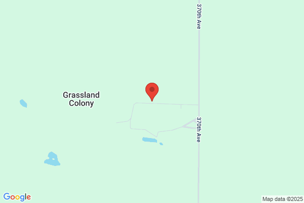 Grassland Colony