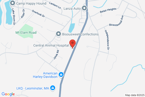 Central Animal Hospital