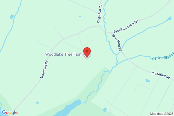Woodland Lake Tree Farm