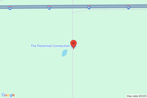 Perennial Impressions