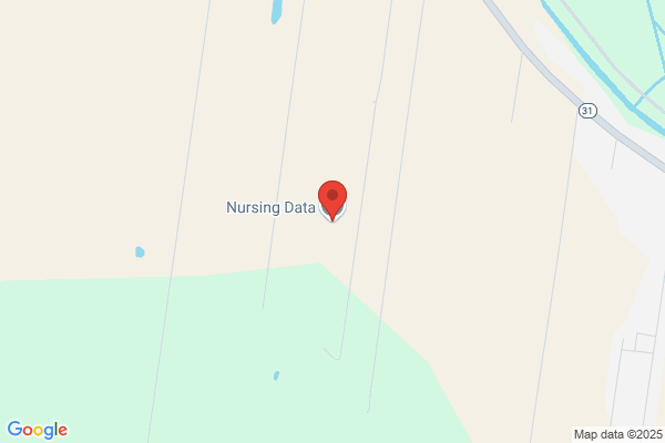 Nursing Data Inc