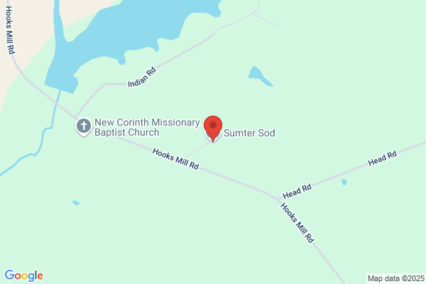 Sumter Sod