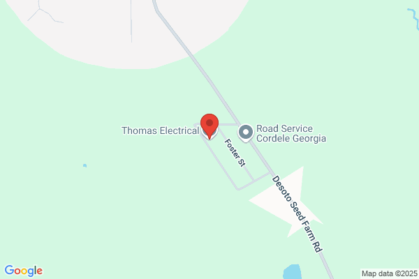 Thomas Electric