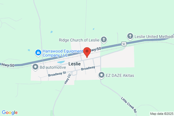Leslie Depot Diner