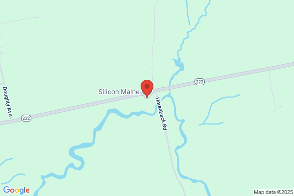 Silicon Maine