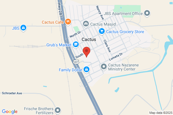 Cactus Elementary