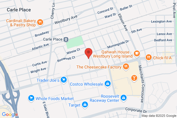Big Brothers and Sisters of Long Island