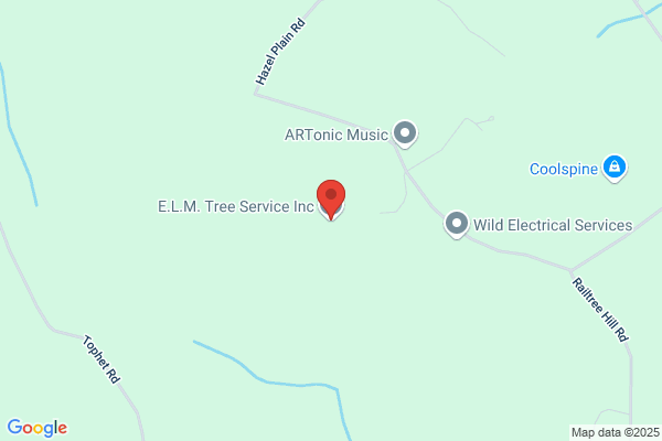 Elm Tree Service