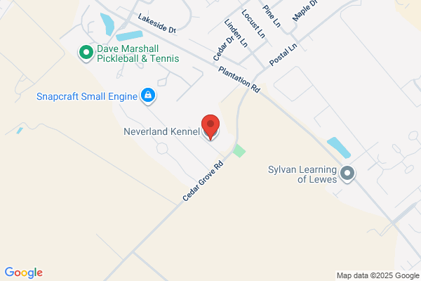 Neverland Kennels