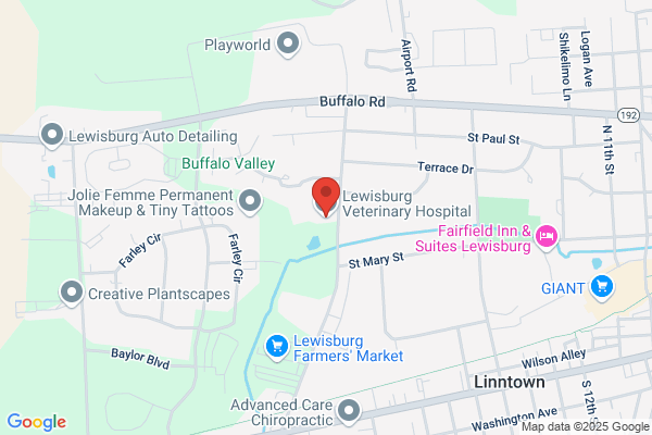 Lewisburg Veterinary Hospital Inc