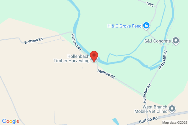 Hollenbach Timber Harvesting