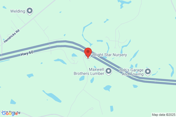 Bright Star Nursery