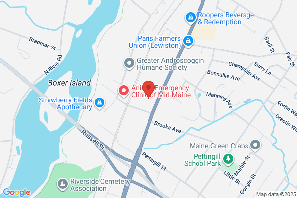 Androscoggin Home Care & Hospice