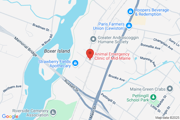 Animal Emergency Clinic of Mid Maine