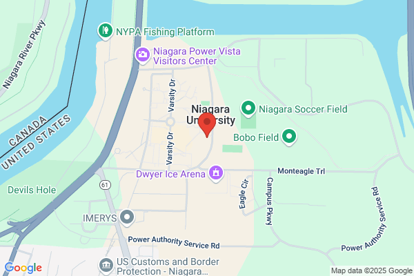 Niagara University, College of Business Mba Program