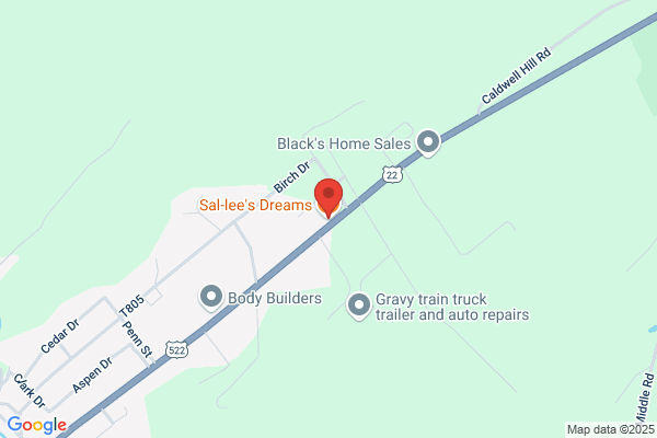 Sal-lee's Dreams