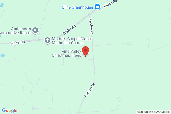 Pine Valley Christmas Trees