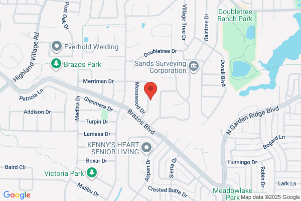 Mission Air Services