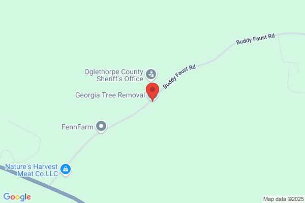 Georgia Tree Removal