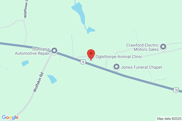 Oglethorpe Animal Clinic