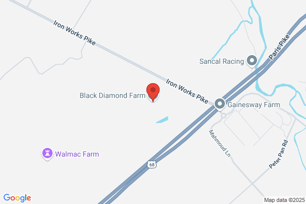 Black Diamond Farm Llc