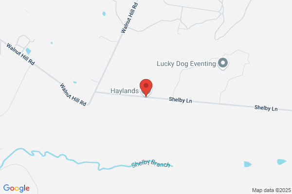 Haylands Inc