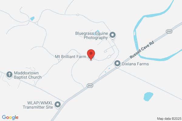 Mount Brilliant Farm Llc