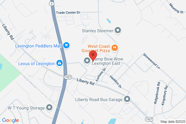 Central Kentucky Auto Glass