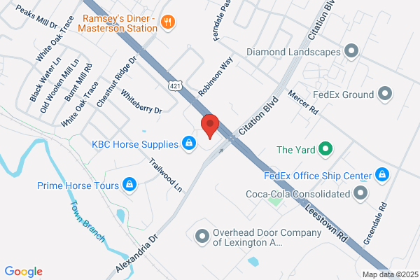 City Courier Services