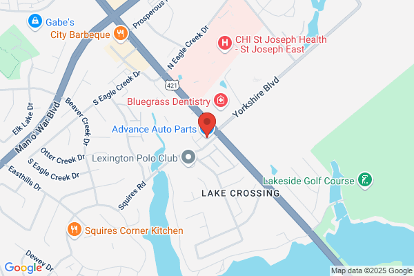 Advance Auto Parts