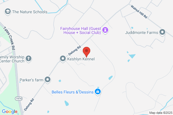 Kenneth Jackson Electric