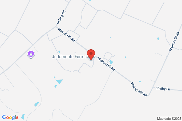 Juddmonte Farms
