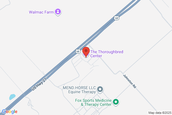 Thoroughbreds International Inc