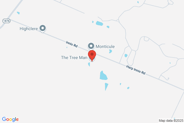 The Tree Man
