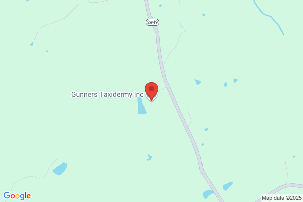 Gunners Taxidermy Inc