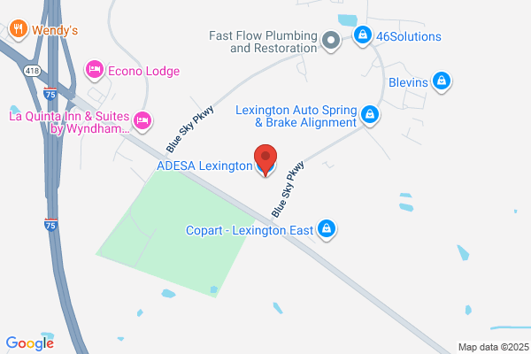 Adesa Auctions Lexington
