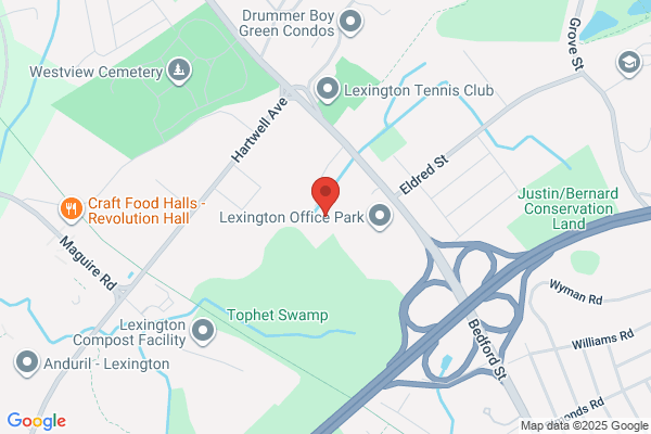 Waltham Group Inc the