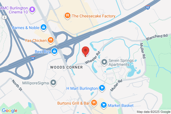 Hilton Garden Inn Boston-Burlington