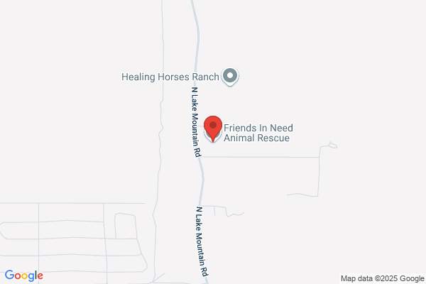 Friends In Need Rescue