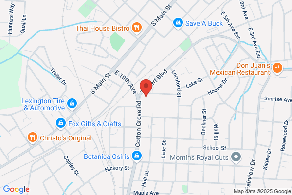 Stitchery Inc the