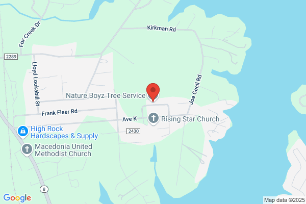 Nature Boyz Tree Service